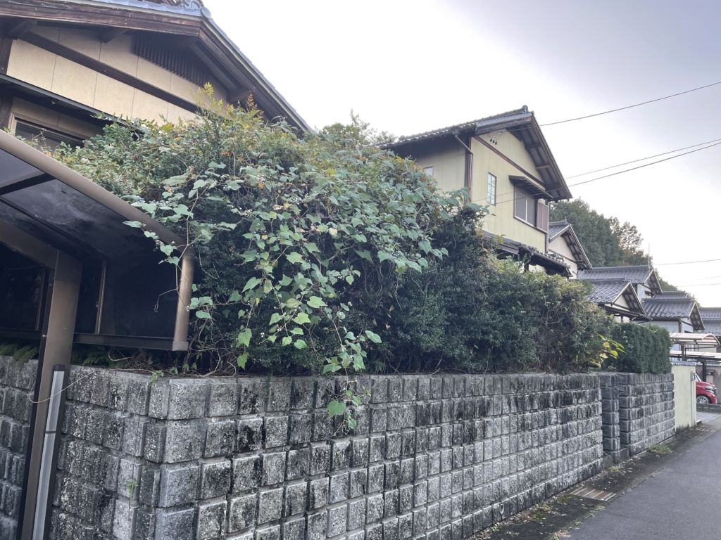 岐阜県美濃市塀草刈り前