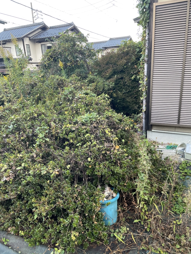 岐阜県美濃市庭草刈り前