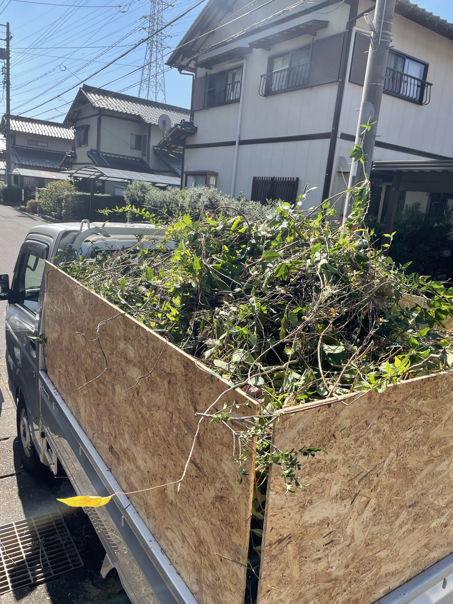 岐阜県美濃市草刈り、剪定