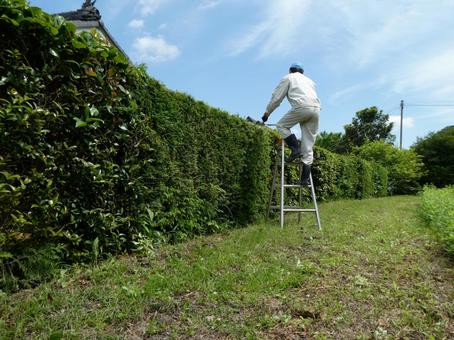 生垣の手入れ