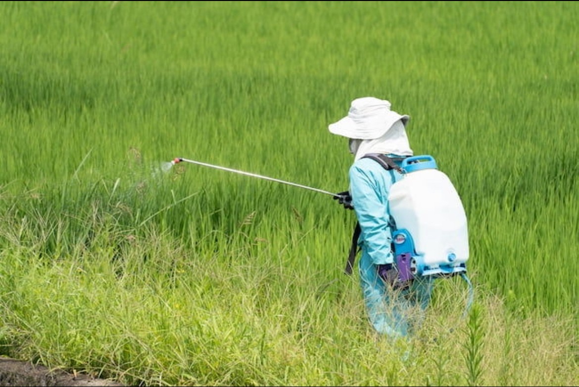 除草剤散布作業