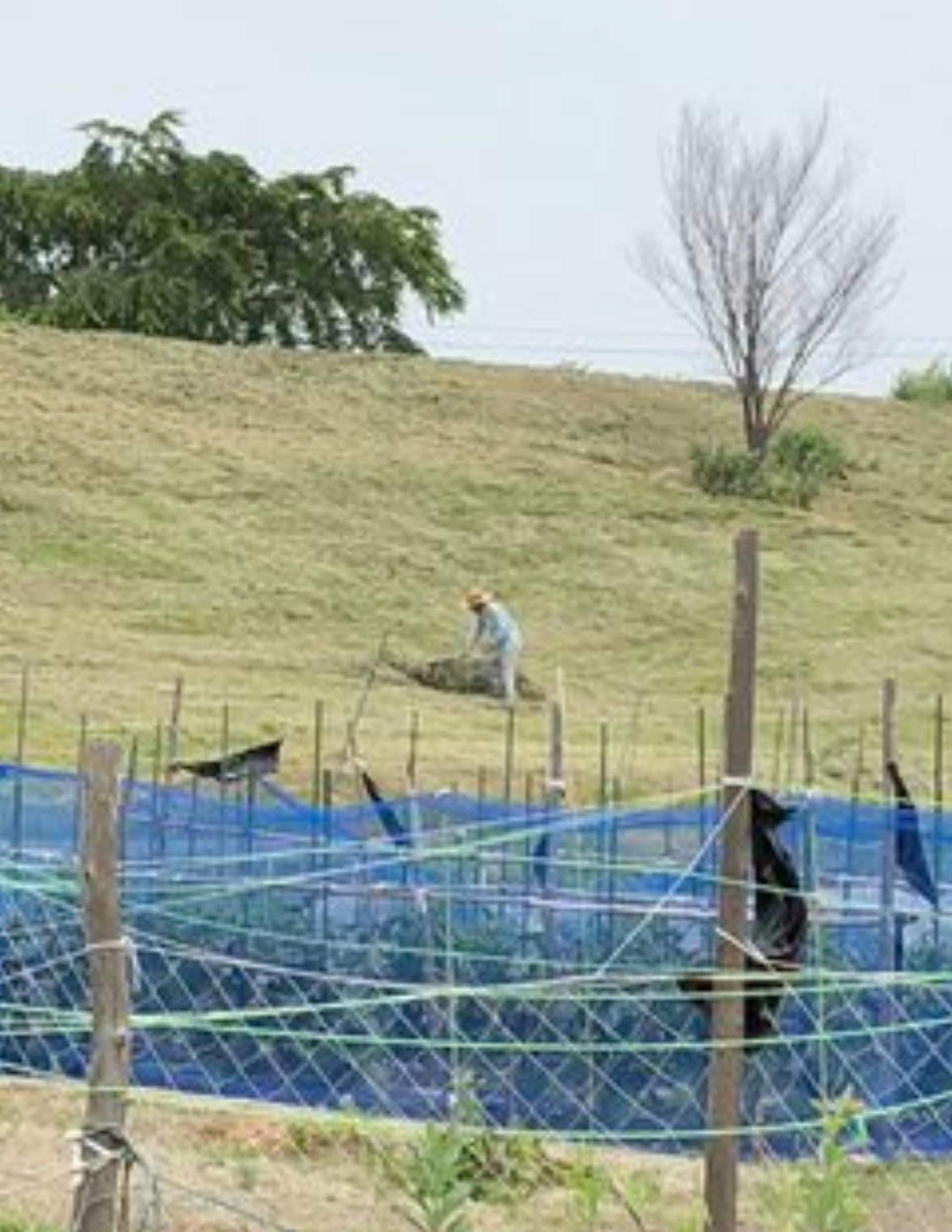 斜面での作業