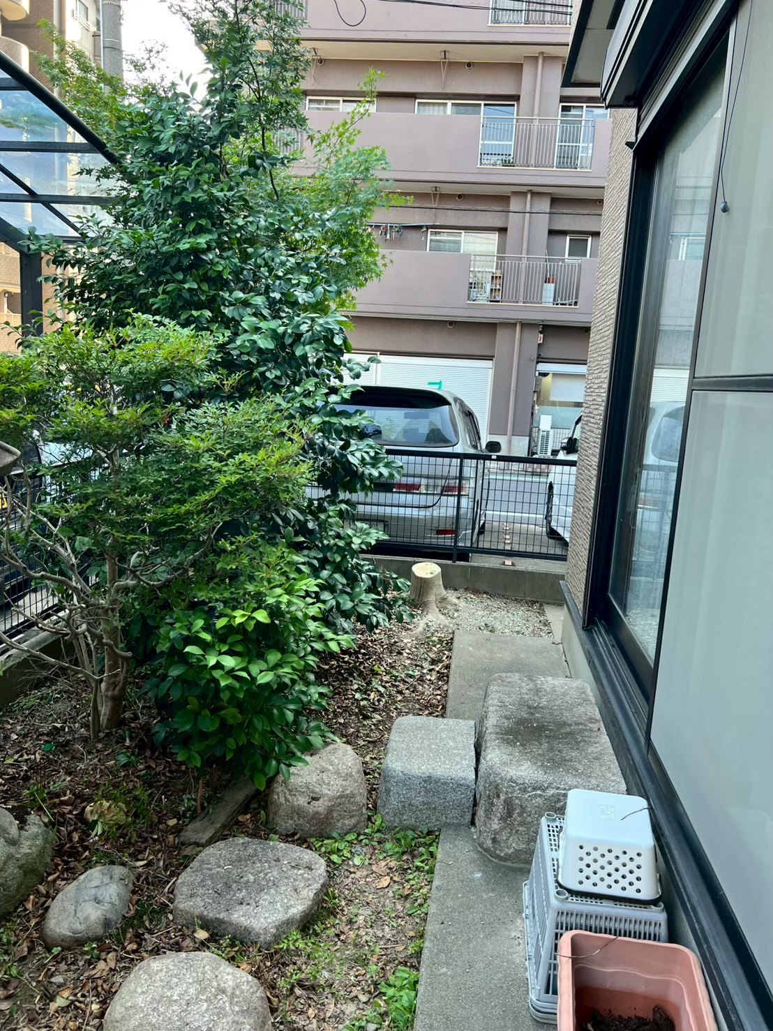 伐採後の住宅横の様子