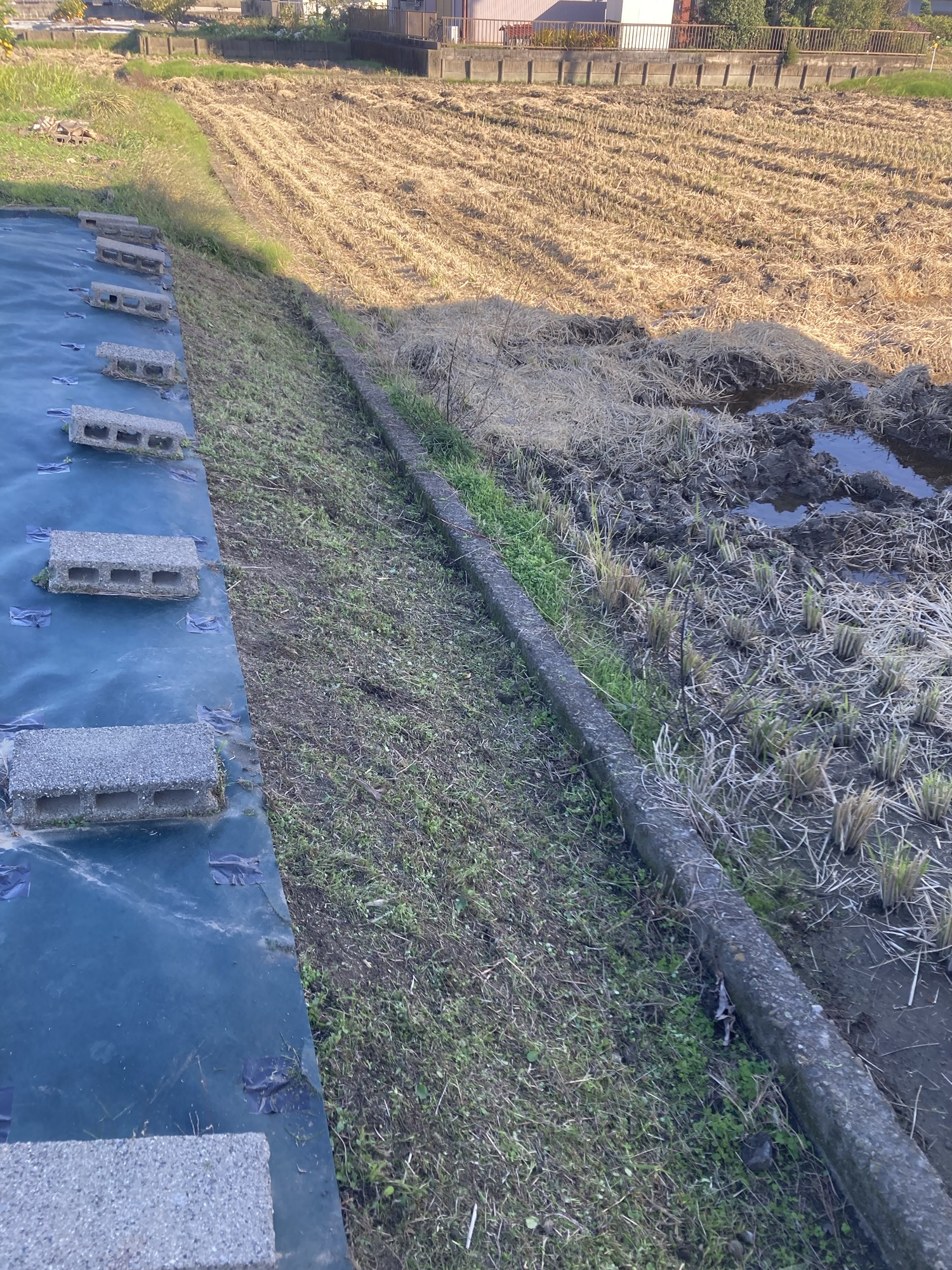 畑の法面草刈り 施工後