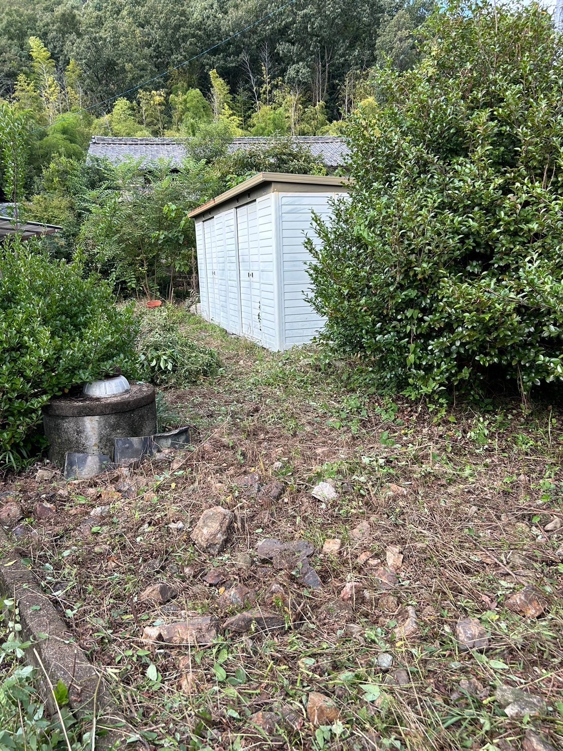 岐阜市で草刈り後にきれいになった庭の様子