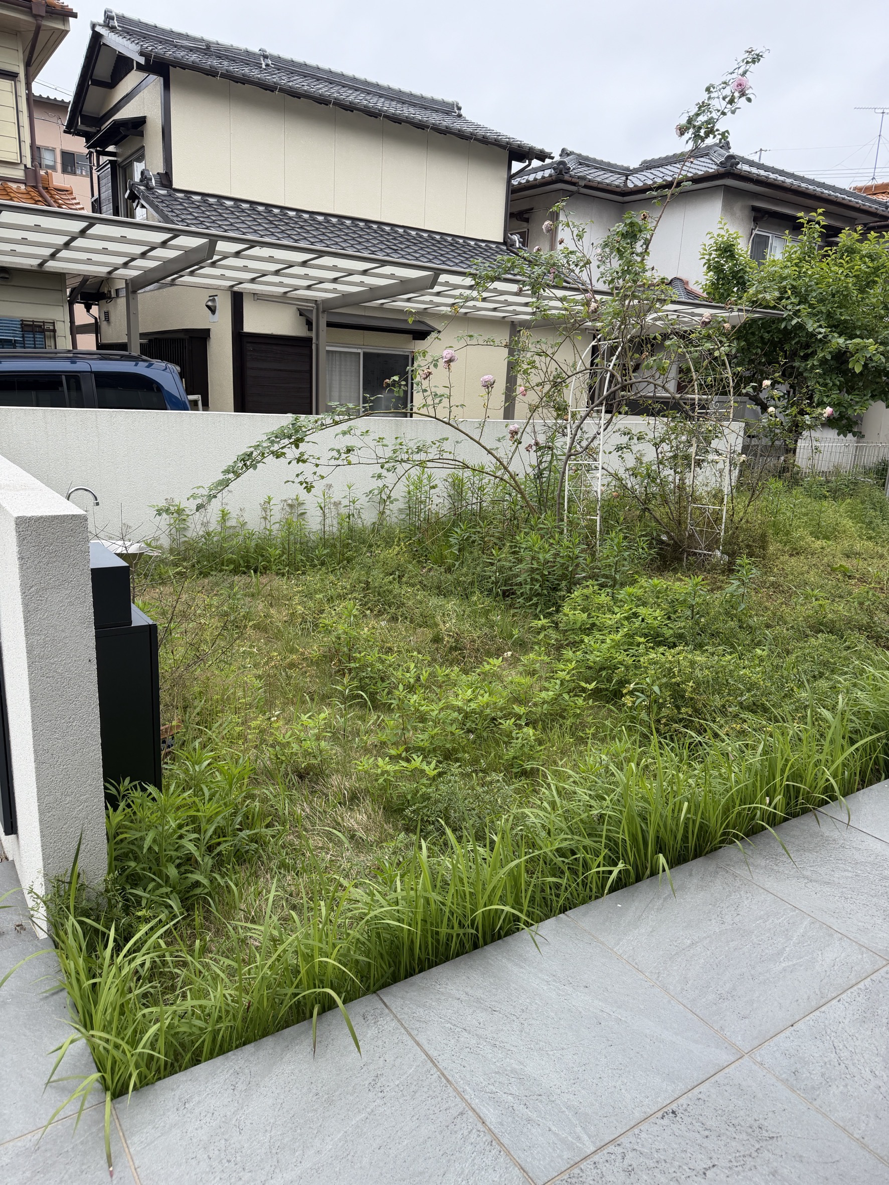 愛知県一宮市 草刈り 作業前