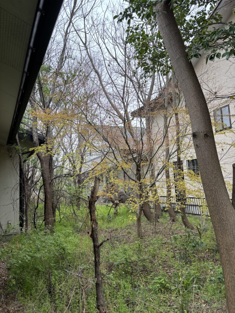 草刈り・伐採