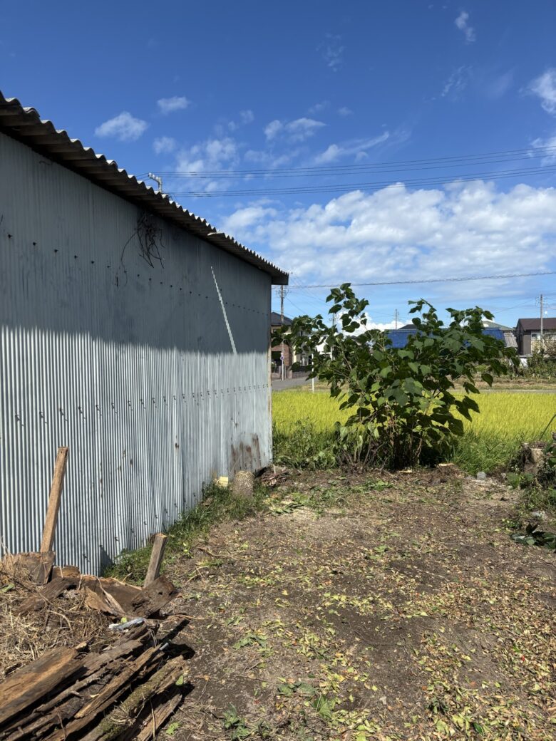 江南市樹木伐採後