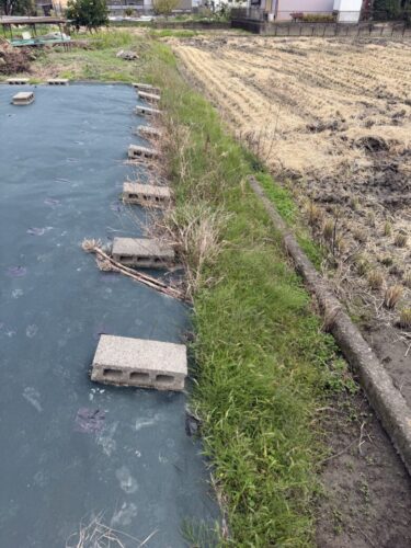 一宮市の畑 草刈り前の