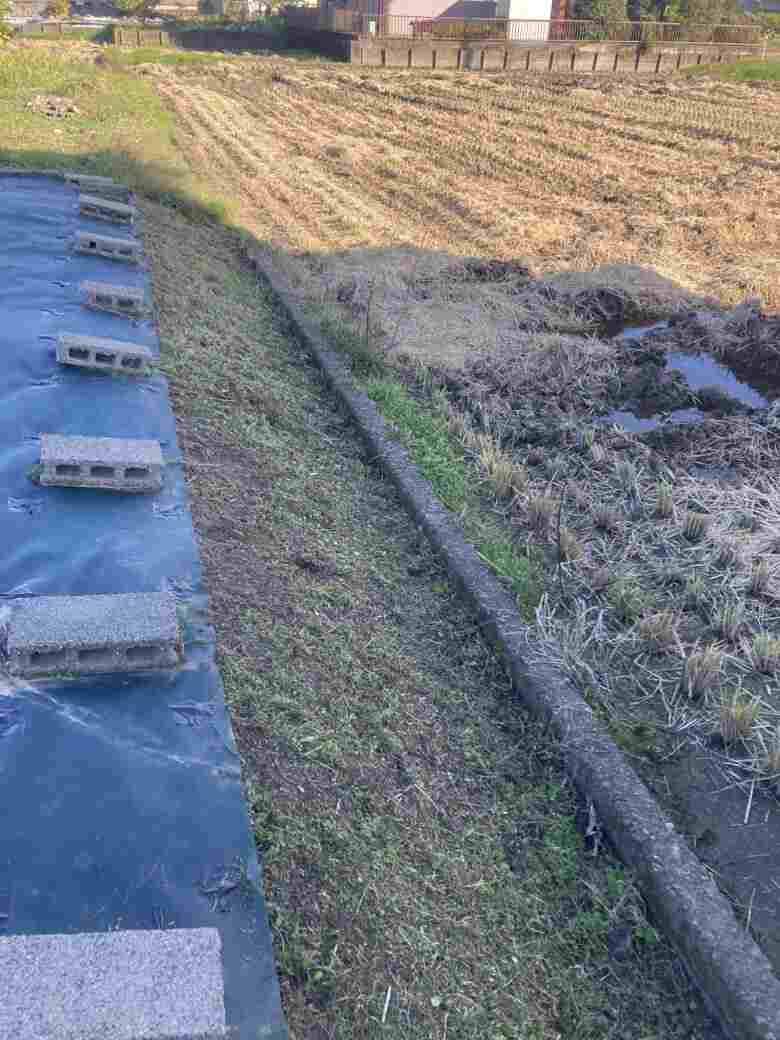 一宮市の畑 草刈り後の様子