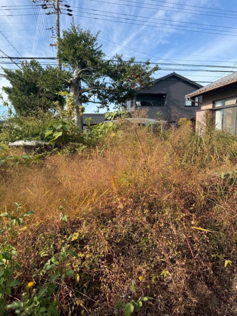 作業前の庭の草の状況