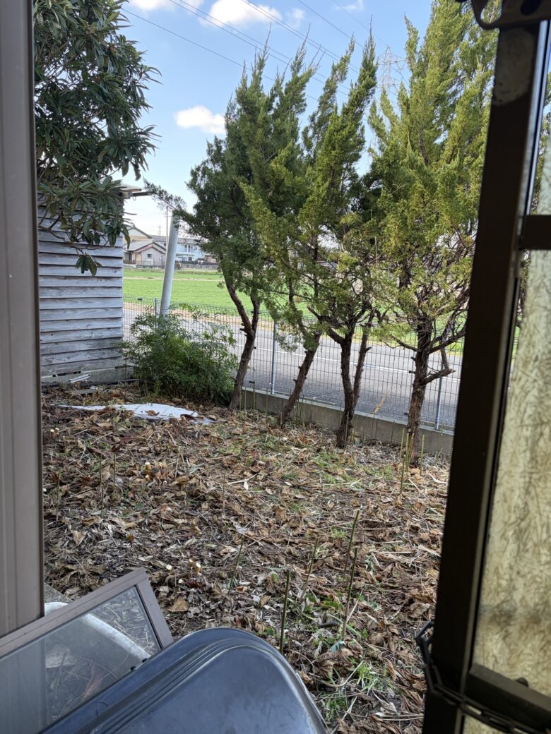 愛知県あま市での草刈り作業後の様子