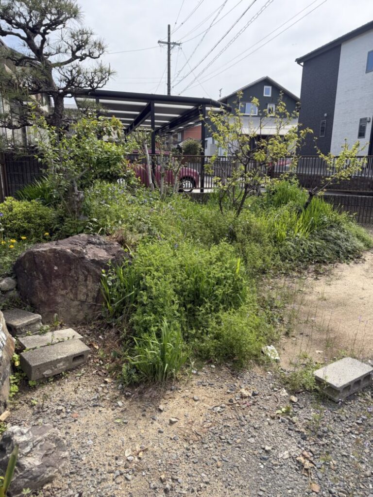 岐阜県美濃市 草刈り 作業前 庭