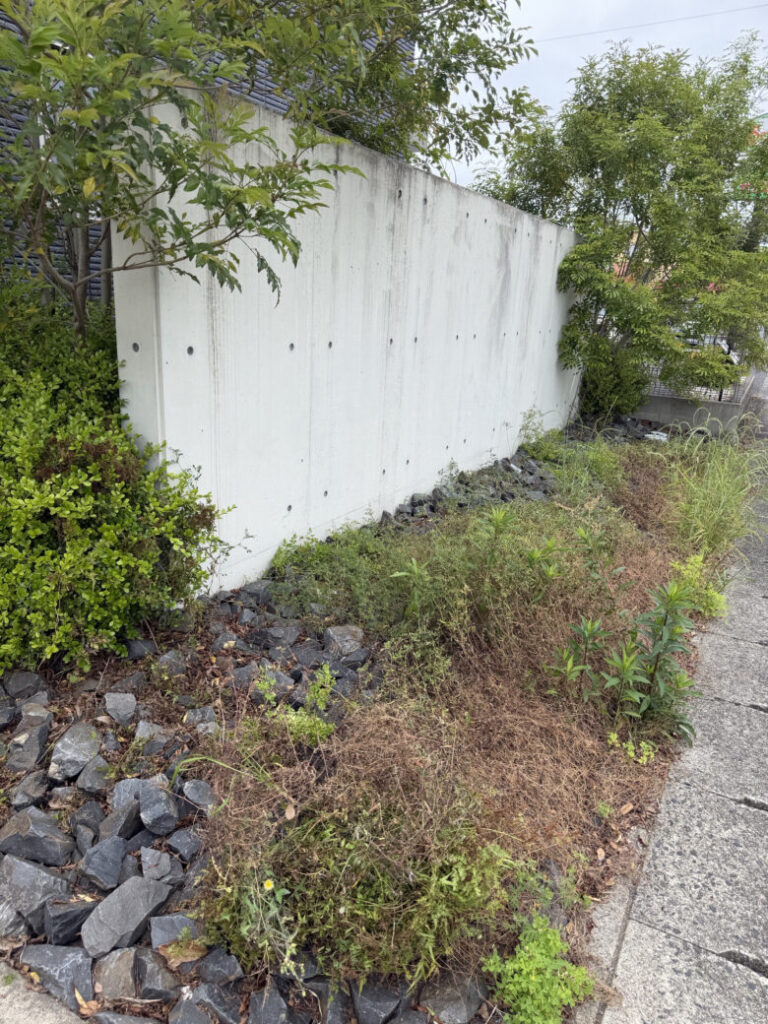 愛知県一宮市 家の周りの草刈り 作業前