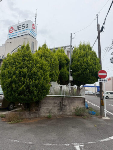 愛知県一宮市での木の剪定作業 作業前