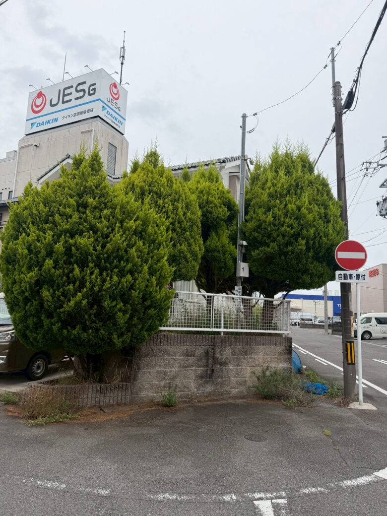 愛知県一宮市での木の剪定作業 作業前