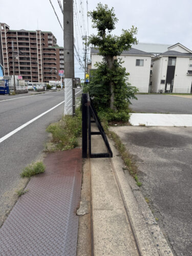 愛知県一宮市での木の剪定と草刈り 作業前
