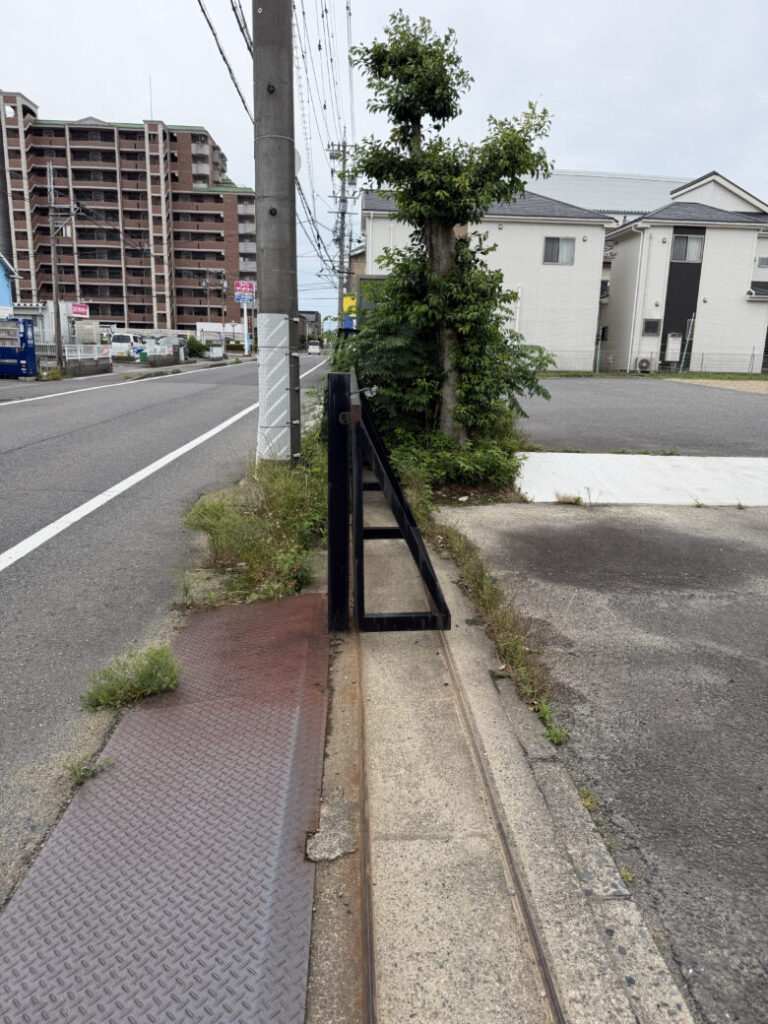愛知県一宮市での木の剪定と草刈り 作業前